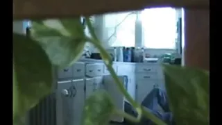 Турецька жінка отримує оргазм під порно видео сайти час сексу.